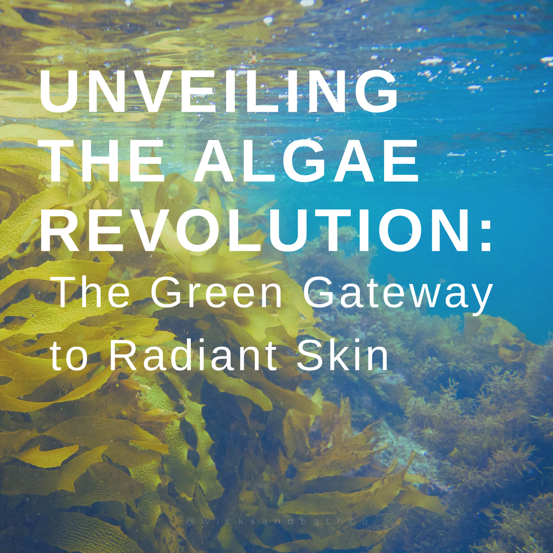Unveiling the Algae Revolution: The Green Gateway to Radiant Skin