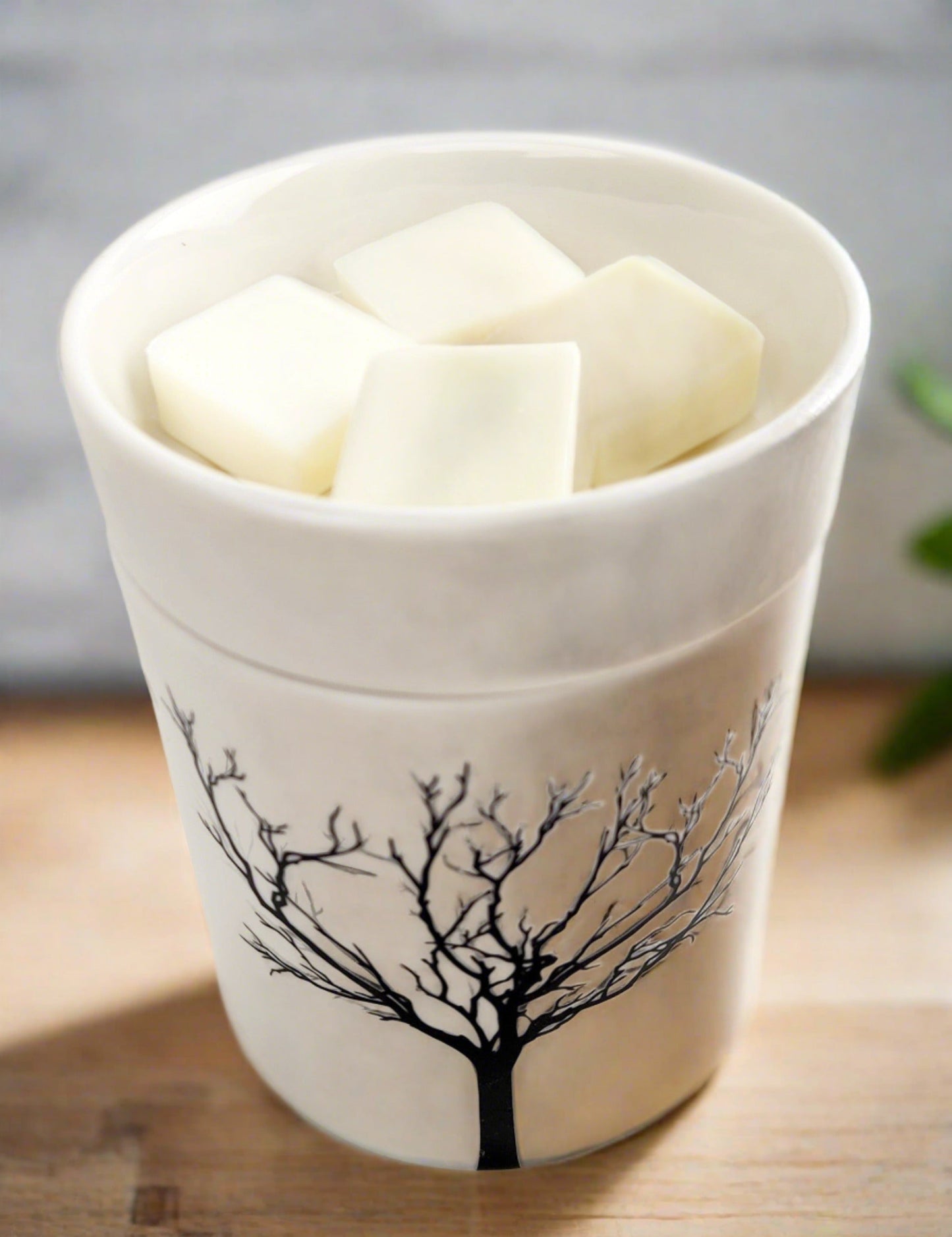 APPLE CINNAMON Wax Melts